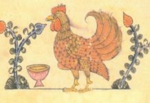 Cervello di gallina - Un libro di Giorgio Vallortigara | TuttoSulleGalline.it