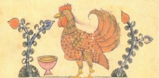 Cervello di gallina - Un libro di Giorgio Vallortigara | TuttoSulleGalline.it