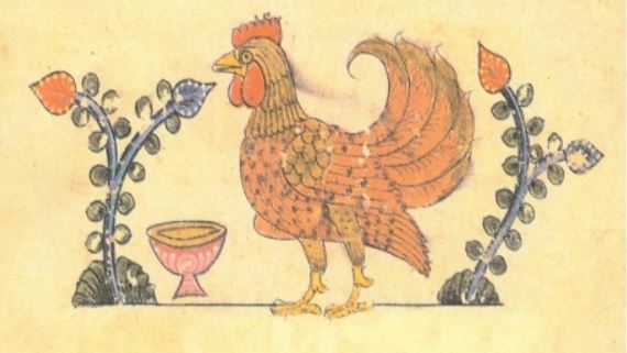 Cervello di gallina - Un libro di Giorgio Vallortigara | TuttoSulleGalline.it