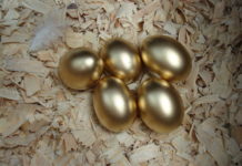 La gallina dalle uova d'oro - La favola di Esopo | TuttoSulleGalline.it
