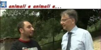 Uova di galline ovaiole allevate in gabbia: ecco come informarsi ed evitarne l’acquisto | TuttoSulleGalline.it