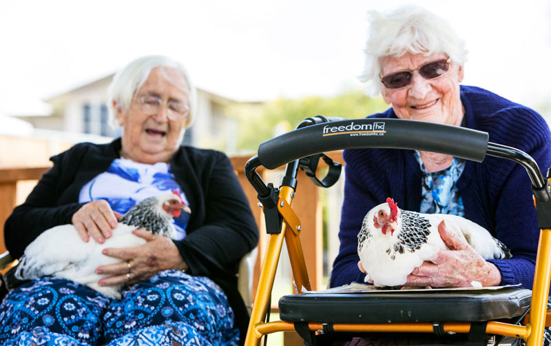 pet therapy con galline per anziani