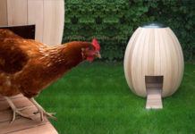 Il pollaio urbano NOGG CHICKEN COOP | TuttoSulleGalline.it