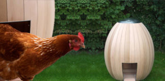 Il pollaio urbano NOGG CHICKEN COOP | TuttoSulleGalline.it