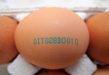 Come leggere l'etichetta delle uova e acquistare le migliori
