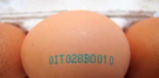 Come leggere l'etichetta delle uova e acquistare le migliori