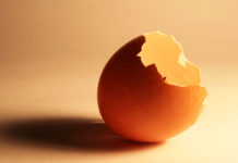 Gusci d'uovo: come riciclarli con 12 utilizzi alternativi e creativi | TuttoSulleGalline.it