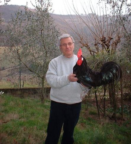 L'allevatore Focardi con il gallo nero del Valdarno, Adolf.