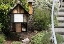 Hotel per insetti (bug hotel) per un perfetto equilibrio biologico nel pollaio | TuttoSulleGalline.it