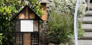 Hotel per insetti (bug hotel) per un perfetto equilibrio biologico nel pollaio | TuttoSulleGalline.it