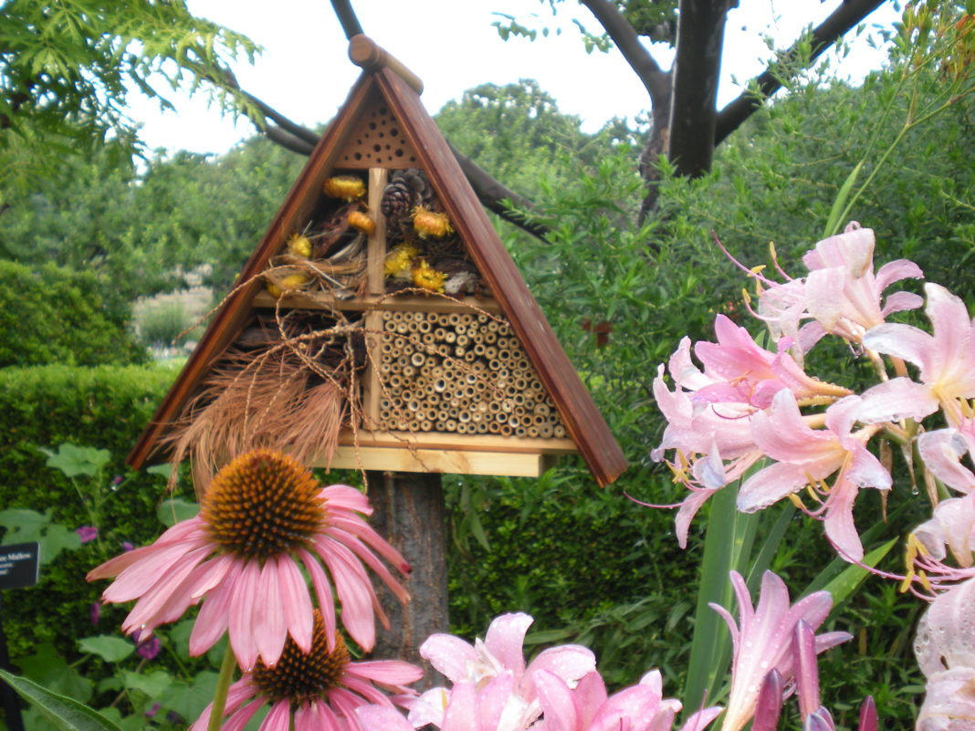 Hotel per insetti a forma di capanna tra i fiori del giardino