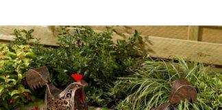 Accessori da giardino e oggettistica da esterno a forma di gallina e gallo | Tuttosullegalline.it