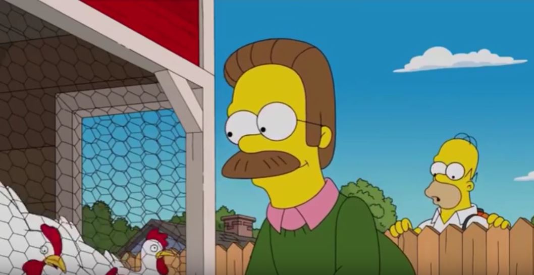 Il pollaio con le galline ovaiole livornesi di Ned Flanders