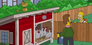 Le galline nei Simpson: il pollaio di Ned Flanders | TuttoSulleGalline.it