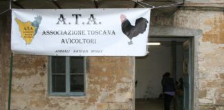 13° Mostra Avicola dell'Associazione Toscana Avicoltori (Firenze, 28-29 Gennaio 2017) | TuttoSulleGalline.it