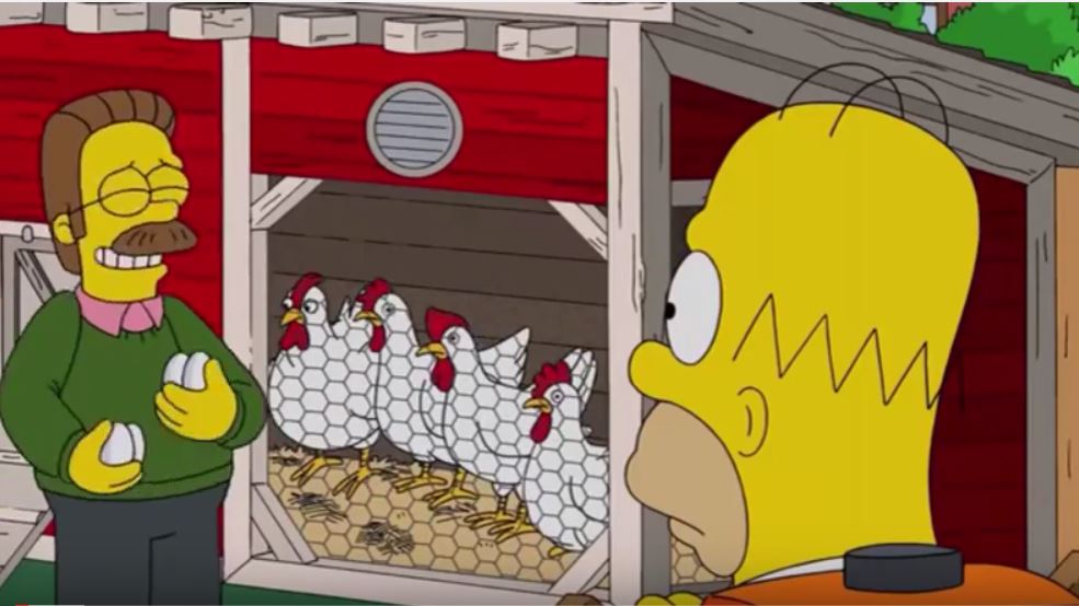 Le uova da fare in cocotte delle galline di Flanders