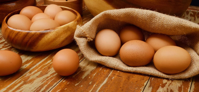 Le uova fresche vanno conservate in frigorifero o a temperatura ambiente | TuttoSulleGalline.it
