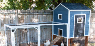 Pollaio Fai Da Te: 13 idee originali per la casa delle vostre galline | TuttoSulleGalline.it