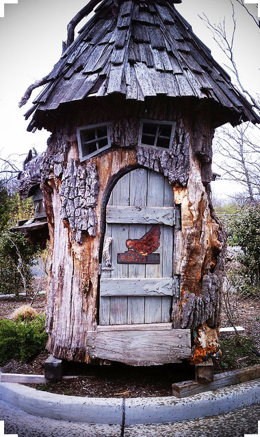 Pollaio fai da te dentro albero cavo