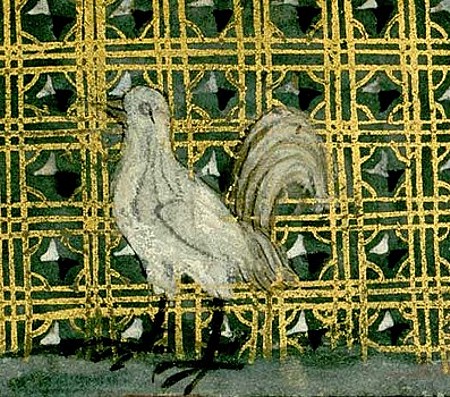 Miniatura medioevale gallina di Bartholomaeus Anglicus