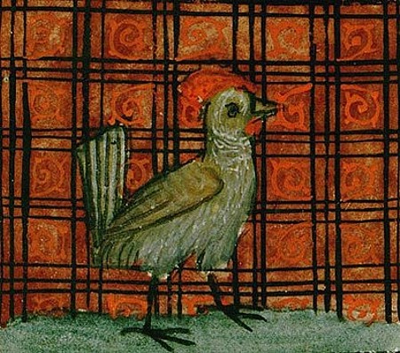 Miniatura medioevale gallina di Bartholomaeus Anglicus