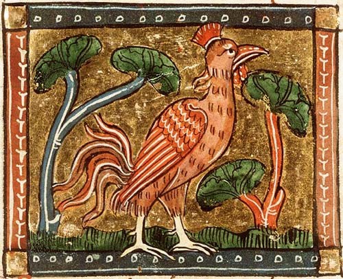 Miniatura medioevale gallina di acob van Maerlant