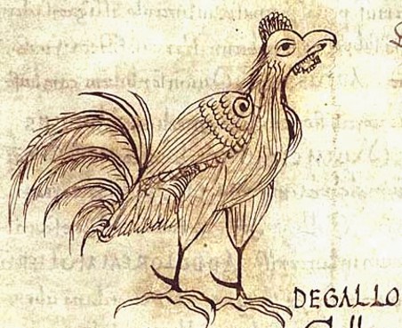 Miniatura medioevale gallina di Sesto Placito Papiriense