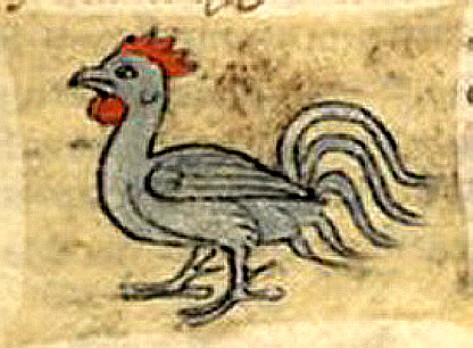 Miniatura medioevale gallina di Richard de Fournival (bestiario)