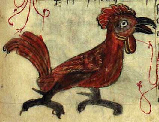Miniatura medioevale gallina di Ann Walsh (bestiario)