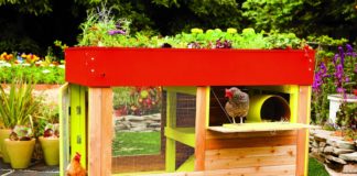 Libri su come gestire un pollaio e allevare galline ovaiole felici | Tuttosullegalline.it
