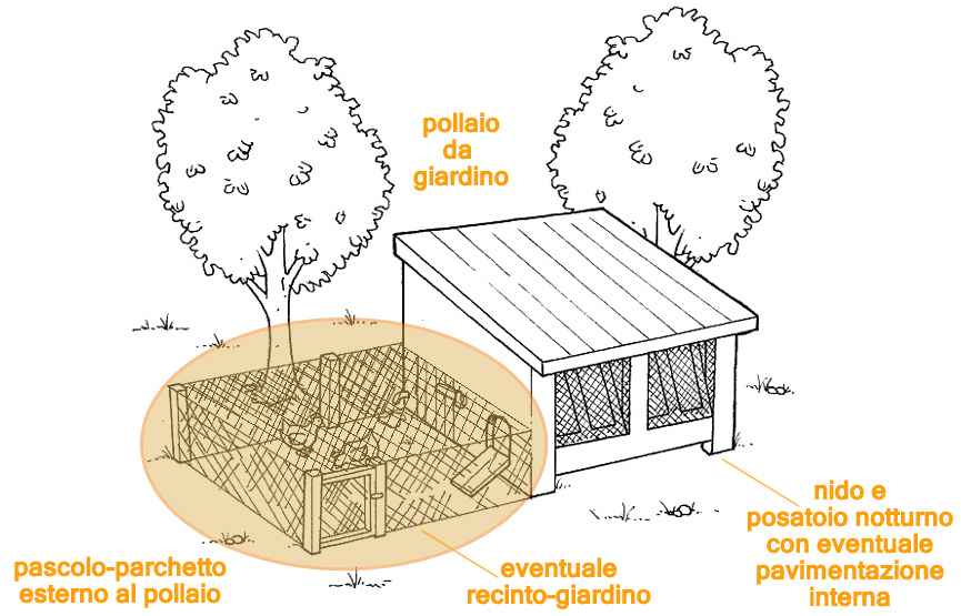 L'area a recinto del pollaio da giardino