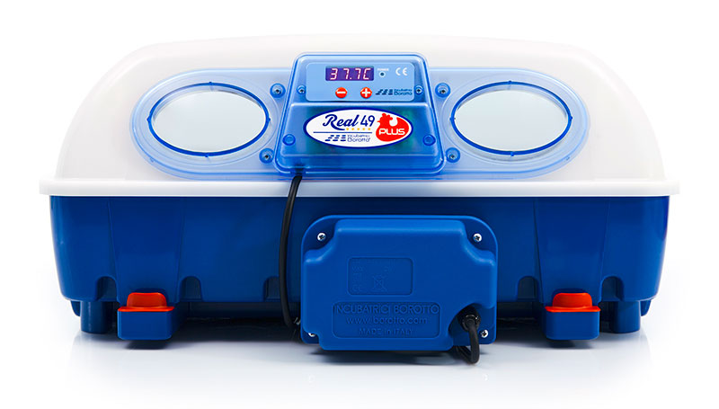 incubatrice per uova Borotto Real 49 Plus