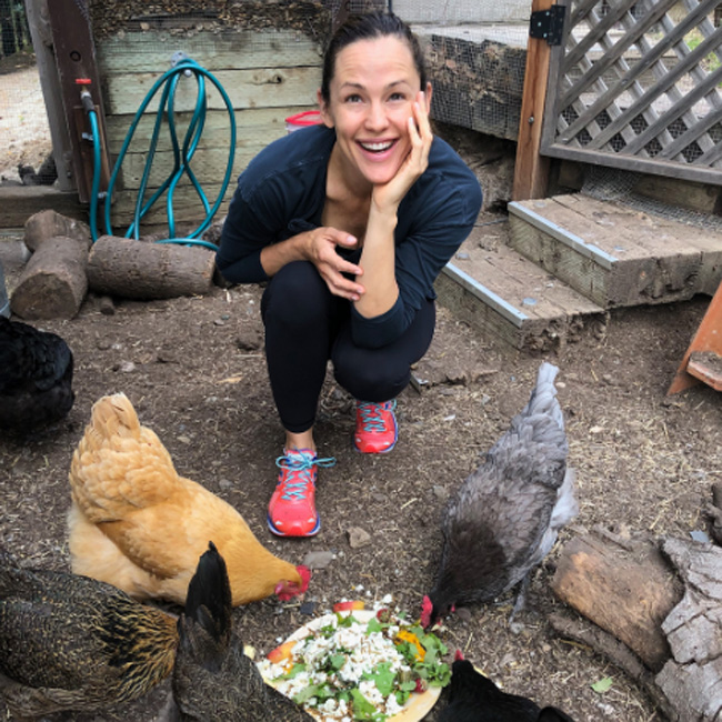 VIP Jennifer Garner festeggia compleanno delle sue galline