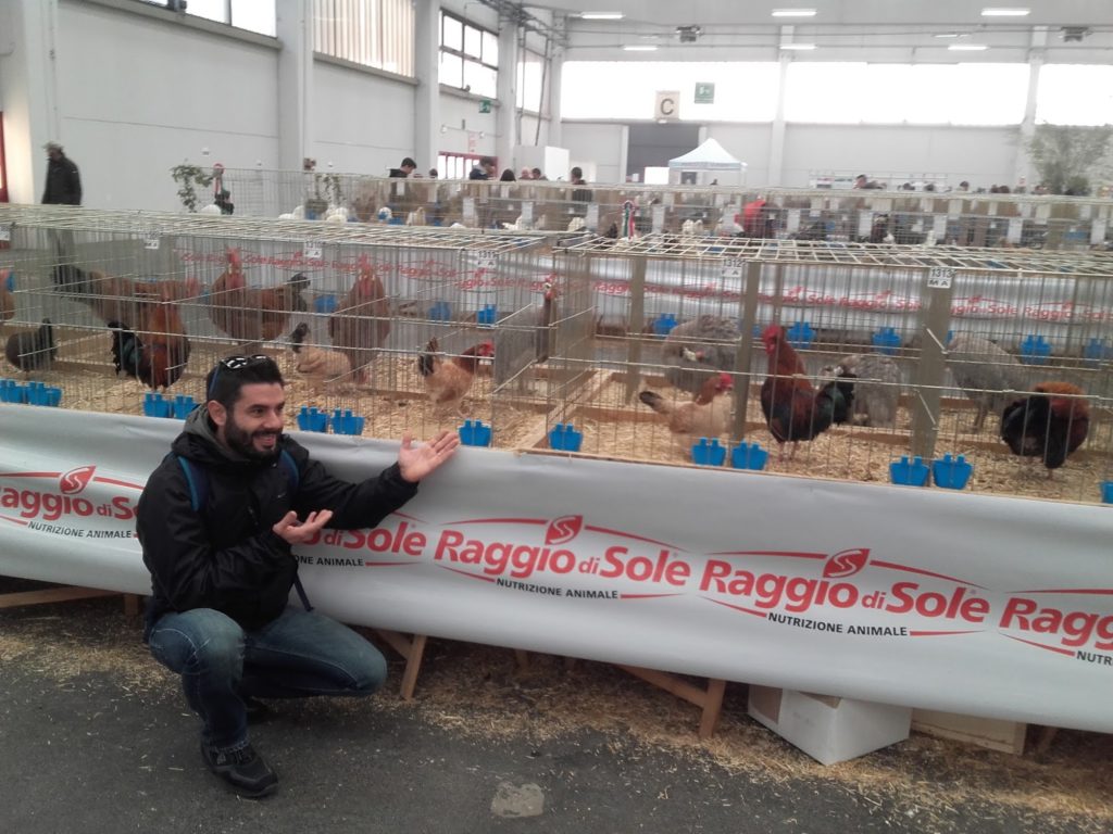 Maurizio Pavone e le sue galline mugellesi