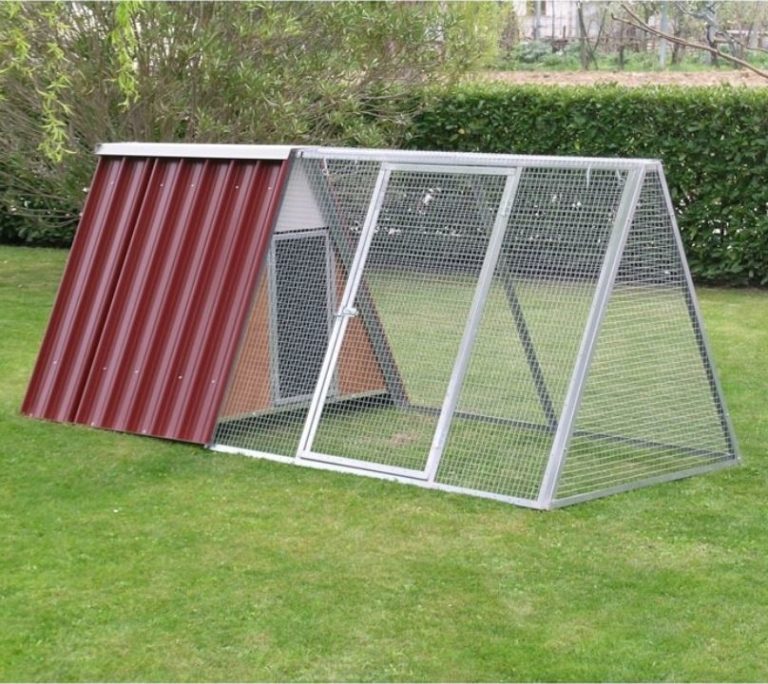 Set 5 Targhe Metalliche Decorativo Pollaio - Cartelli Vintage Galline 20x30cm