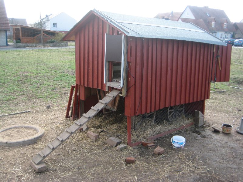 Pollaio con porta crepuscolare