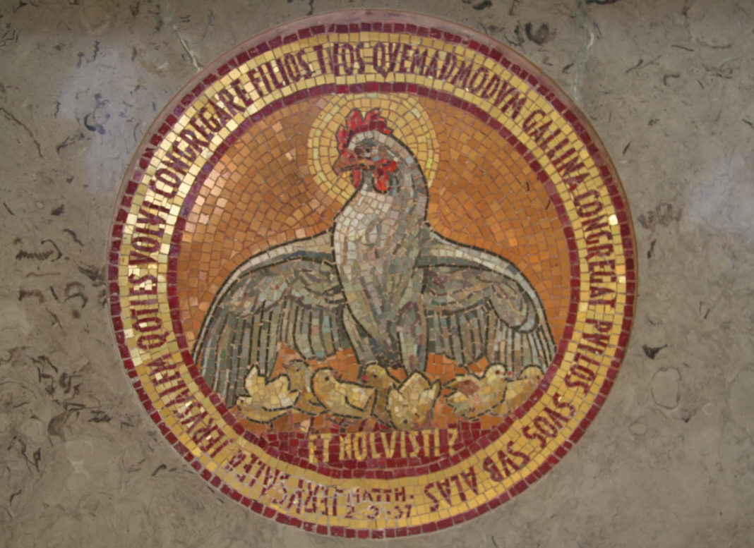 La gallina chioccia evocata nei Vangeli (mosaico)