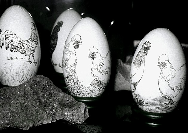 Immagine del Volume 1 : Esempio di "Uovo nell'arte".