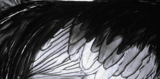 Summa Gallicana, l'opera omnia sulla genetica delle galline del Dr. Elio Corti