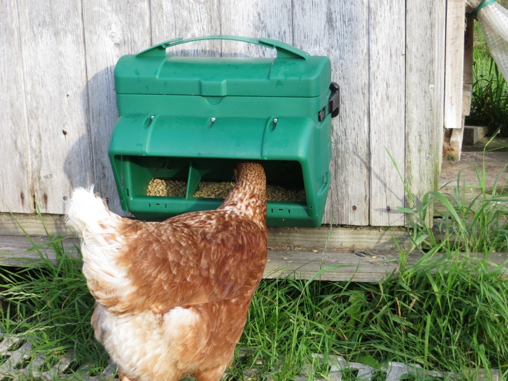 Mangiatoia per galline a tramoggia a parete