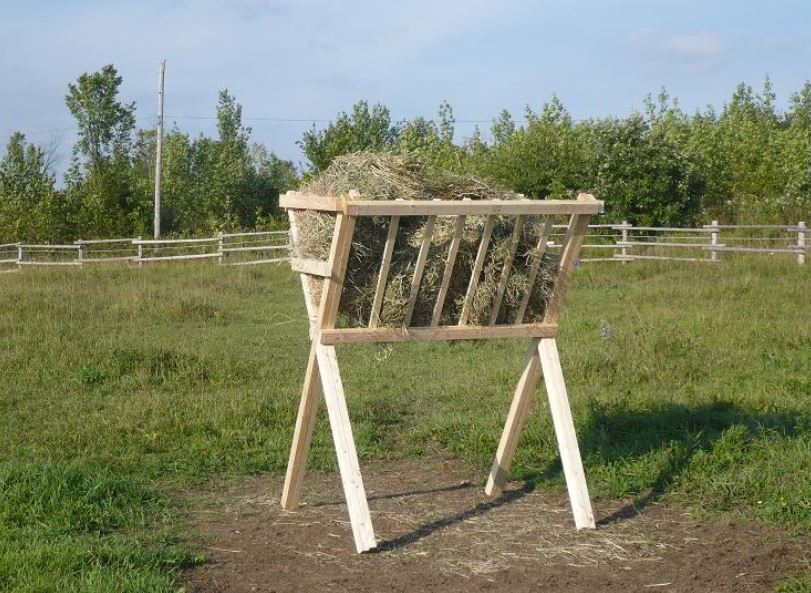 grande mangiatoia per galline a rastrelliera da campo