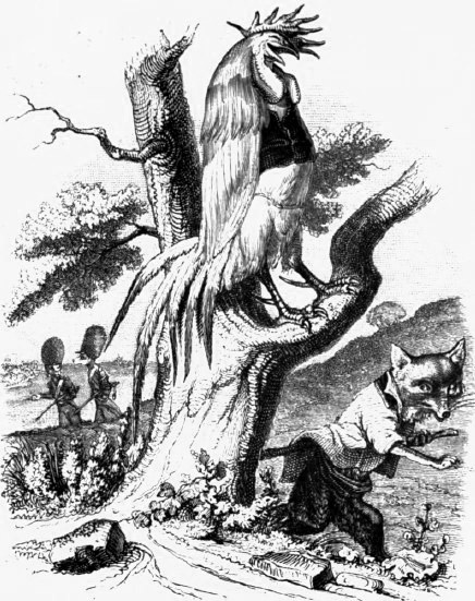 Illustrazione di gallo sul ramo di un albero che si fa beffa della volpe