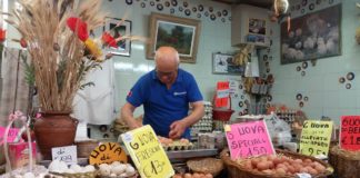 Lo storico banco delle uova fresche sfuse della Ditta Giomi al Mercato Centrale di Livorno