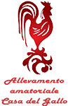 Casa del gallo - Allevamento amatoriale galline