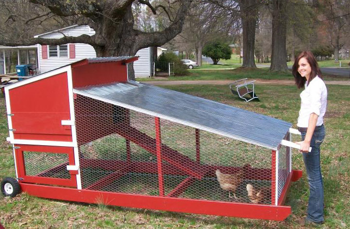 Piccolo pollaio mobile (chicken tractor) verniciato in stile fienile rosso