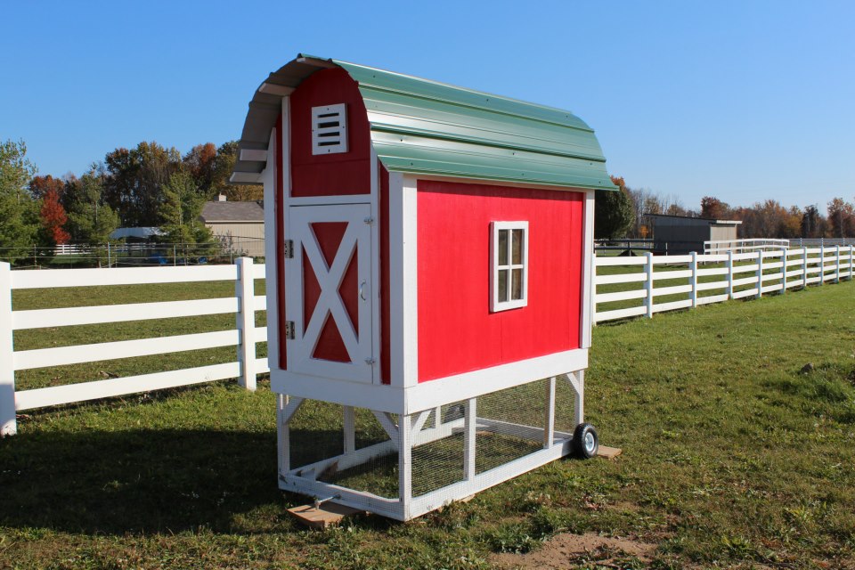 Pollaio mobile rosso in perfetto stile fienile (red barn chicken tractor)