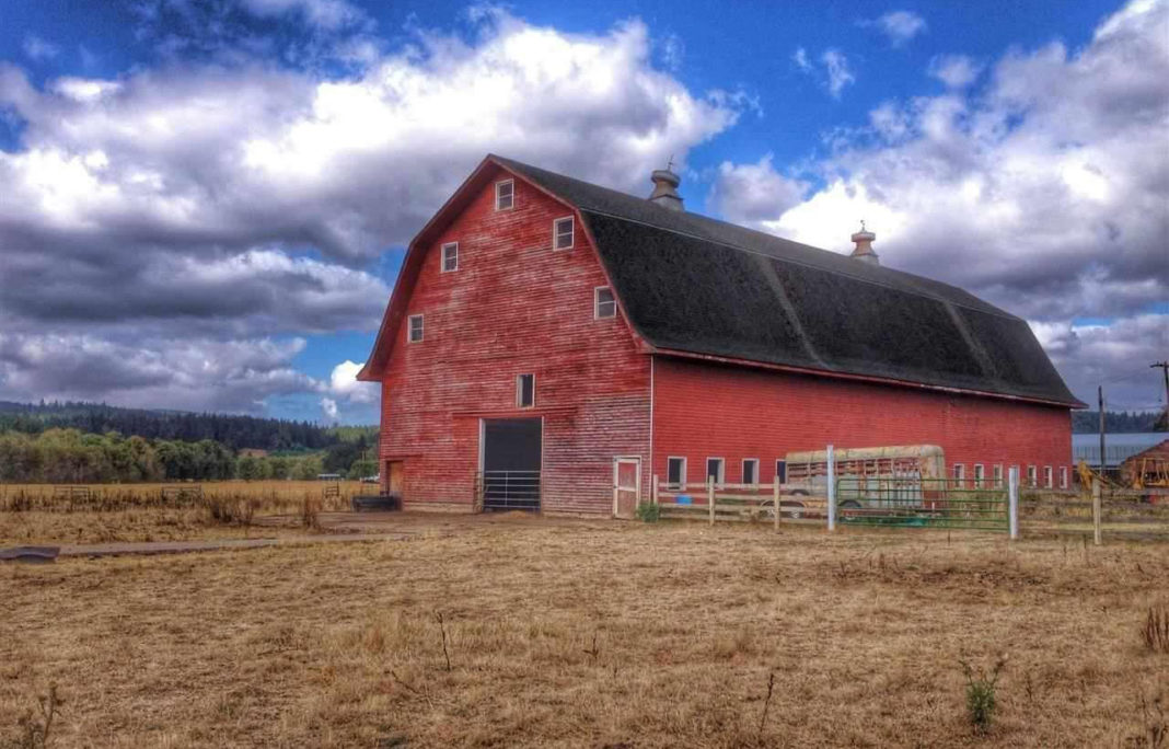 Tradizionale fienile rosso americano (Oregon)