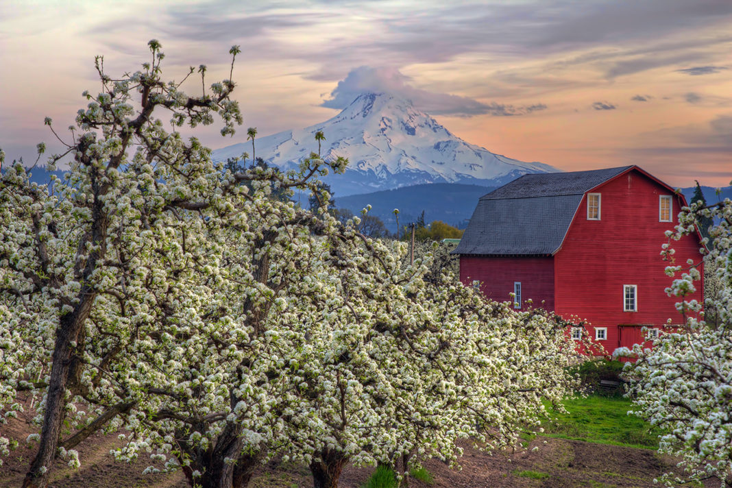 Fienile rosso ristrutturato (Oregon)