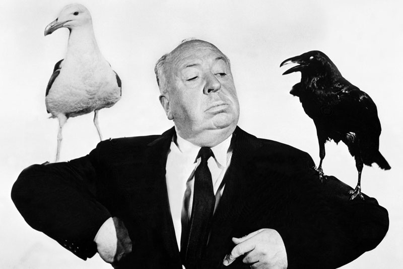 Alfred Hitchcock (alectorofobico) durante la realizzazione del film Uccelli (1963).