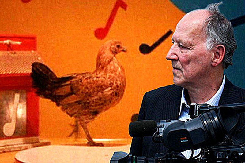 Werner Herzog (alectorofobico) con la gallina danzante